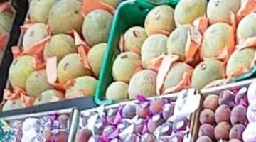 أسعار الفاكهة في سوهاج تشهد بيع البرتقال بـ15 والموز بـ20 للكيلو